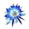 Blizzard Strayer Flower